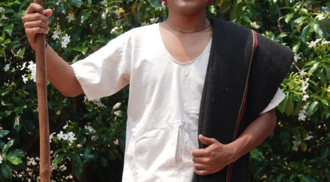 Child Artiste Samarth Patil as Balumama