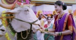 'Kaali Maati' Movie Song, Aetashaa Sansgiri, Diksha Bhor